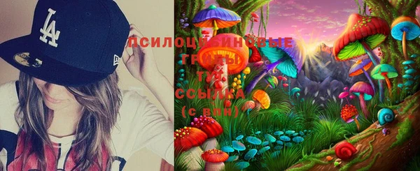 mdpv Алексин