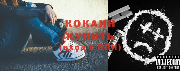 дживик Абинск